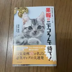 果報はニャコろんで待て！　猫　ネコ　子猫　癒し