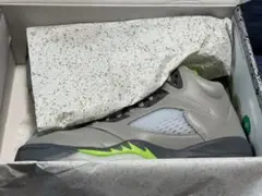 NIKE エアジョーダン5 RETRO GS