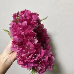 タヒチアンヘイポー