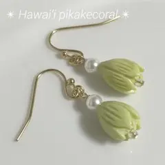 ❤️数量限定❤️ピカケピアス✴︎グリーン✴︎パール❤️✴︎ハワイアンジュエリー