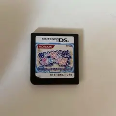 DS とんがりボウシと魔法のお店 ソフト