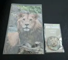 東山動物園　ライオン　レグルス　ポストカード　缶バッチ　セット