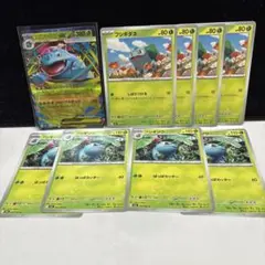 ポケモンカード　メガフシギバナex 進化ライン