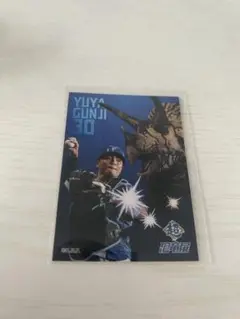 北海道日本ハムファイターズ 郡司裕也 恐竜 スタンプラリー トレカ