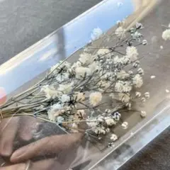 かすみ草ブルー ドライフラワー