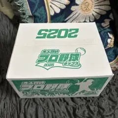 大人買い プロ野球チップス2025 第2弾