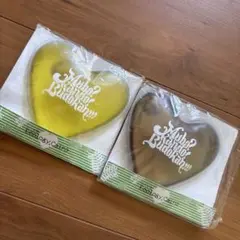 ナオトインティライミ＊エコカイロ