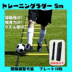 【新品】トレーディングラダー 5m プレート 10枚