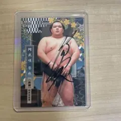 大相撲　阿武咲　直筆　サイン　カード