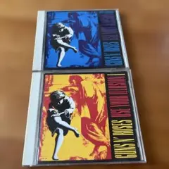 Guns N' Roses Use Your Illusion I/II セット