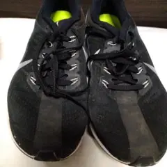 ナイキ ZOOM X 25センチ