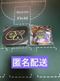 ダメカン、ダメカンケース、コインMEGAプレミアムトレーナーボックス　サプライ
