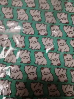 Item thumbnail for item 65bbbe2f-5c94-48e5-b639-118e242b39f4