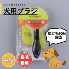 Item thumbnail for item c1ce45bd-dba2-4a7c-b789-b7ed3d130191