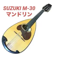 美品 SUZUKI スズキ　マンドリン　M-20　M20ハードケース付き 美品 SUZUKI スズキ マンドリン M-20 M20ハードケース付き