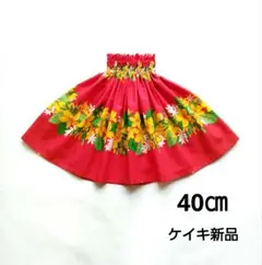 パウスカートケイキ　40㎝