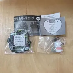 ポチャッコ　ガチャ　2種セット　オーロラネオン　エモきゅん