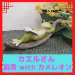 カエルさん　読書 with カメレオン　かわいい　置物