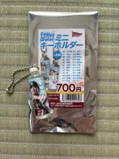 【即購入可能】楽天イーグルス　安田悠馬 イーグルスウォーター ミニキーホルダー