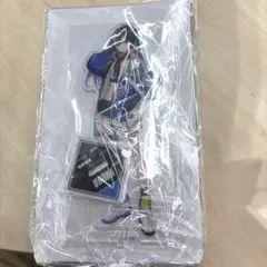 ぶいすぽっ！ビッグアクリルスタンド gigo限定 一ノ瀬うるは
