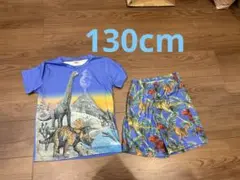 恐竜プリントTシャツとショートパンツセット 130