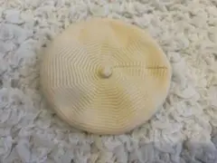 クリーム色　ベレー帽