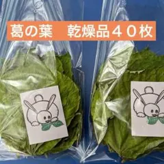 Item thumbnail for item 978344b5-22f8-43f0-a3ec-247b189bccd1