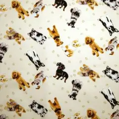 160 カットクロス 生地 犬柄 肉球 犬いっぱい 112✕50