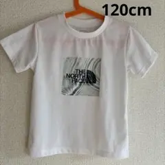 THE NORTH FACE ホワイト Tシャツ 120センチ