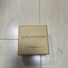 TOKYO DISNEYLAND HOTEL 限定小物ケース