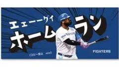 レイエス　「エェ--グイホームラン」　レイエス語録 タオル　日本ハムファイターズ