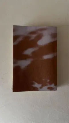 本　光のとこにいてね 一穂ミチ