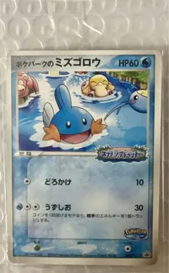 ポケモン ミズゴロウのスプラッシュアドベンチャー　ポケパーク ピンズ ピンバッジ ポケパークのミズゴロウ スプラッシュアドベンチャー 048/PCG-P