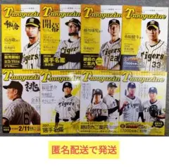 阪神タイガース ファンクラブ会報T-magazine 2017〜18年8冊 FC