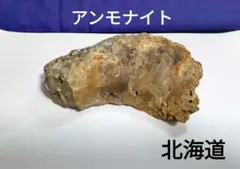 Item thumbnail for item 32256ec5-65f4-4612-90dd-2f679edebadb