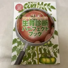 やさい畑　2025年初夏号　付録