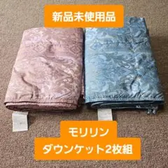 モリリン【新品】ダウンケット2枚組