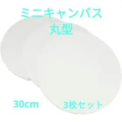 Item thumbnail for item 5e05d9b7-3d7e-4457-84d2-75e9c831da5a