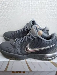 NIKE レブロン21EP