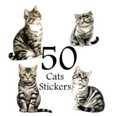 ステッカー　猫A　50種50枚　紙素材シール　ネコのシール　コラージュ素材