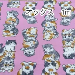 ラスト 1m ぎゅうぎゅう猫 ピンク オックス