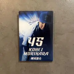 Item thumbnail for item 3d2735d8-7fb6-4b5a-9464-70ee422b8262