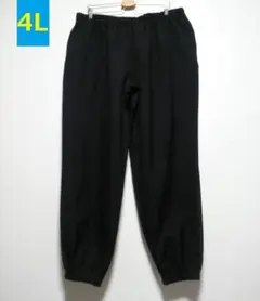 Item thumbnail for item 7f990e78-d589-446b-8756-50cd6947668f