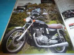 2025年最新】gsx400tの人気アイテム - メルカリ