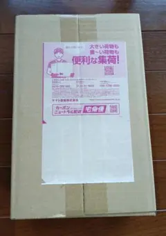 【新品未開封】スペシャルBOX ポケモンセンタートウホク シュリンク付き