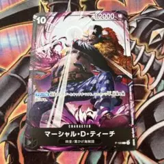 マーシャル・D・ティーチ 交流会 プロモーションパック 四皇 ワンピースカード