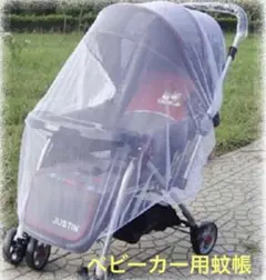 Item thumbnail for item 94d738c7-9224-4e1f-826c-fad06bd00e0c