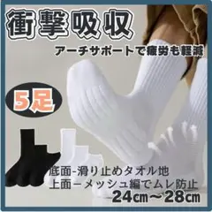 Item thumbnail for item 61198e90-9635-424b-b641-354fb0b9763d