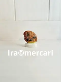 貝殻のフェーブ⑤ フェーヴ　ミニチュア　陶器　フランス　海