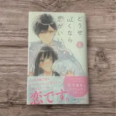 どうせ泣くなら恋がいい 1巻